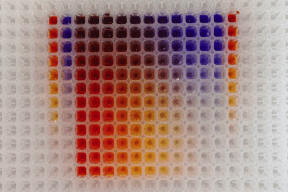 Pipetting scheme for testing synergistic effects of drug candidates. Two-dimensional concentration gradients of two drug candidates are tested for (synergistic) antibacterial activity. Each well contains a unique concentration of two drug candidates. Afterwards wells are inoculated with a bacterial strain and growth is monitored over time. For visualization red and blue dyes instead of drug candidates have been applied.